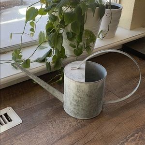 Decorative Watering Can